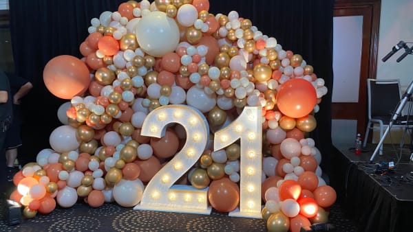 21st Anniversary Gall Ball - images