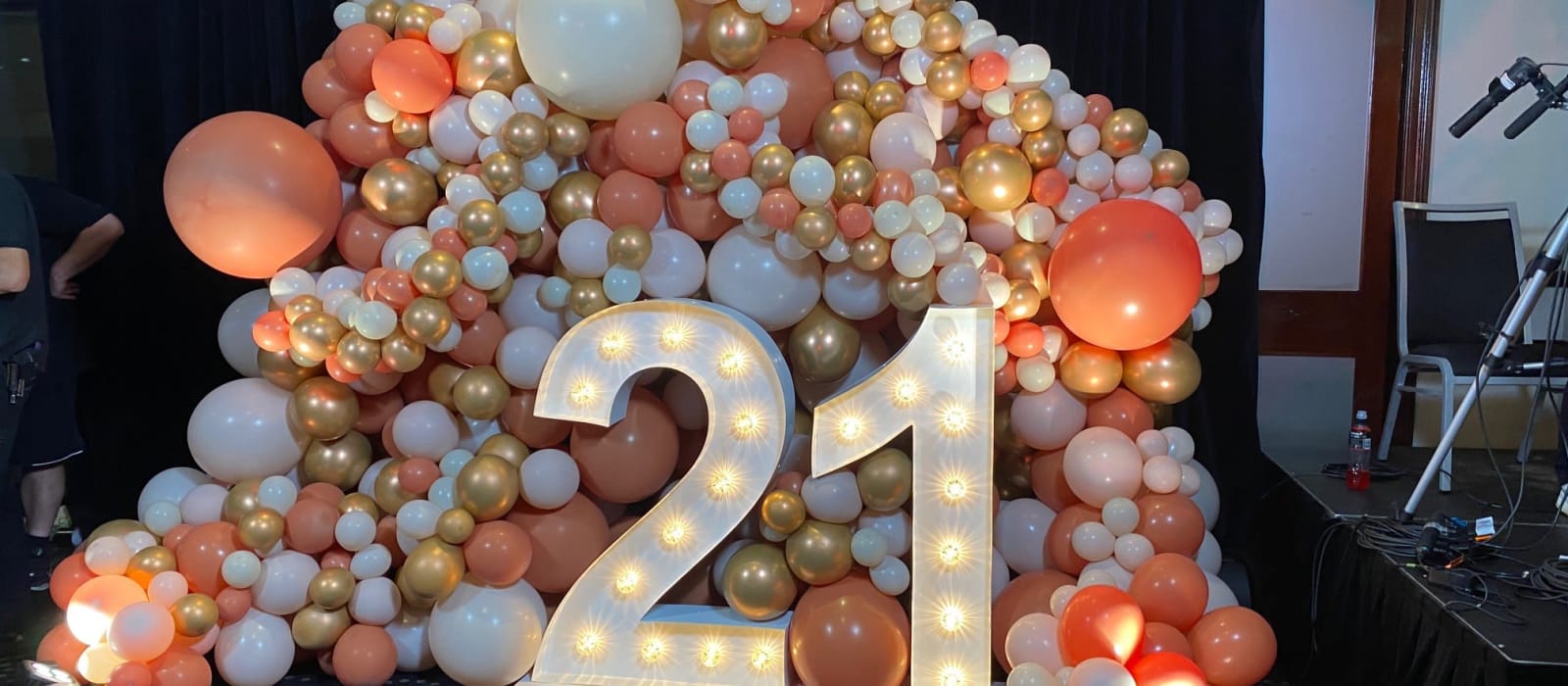21st Anniversary Gall Ball - images